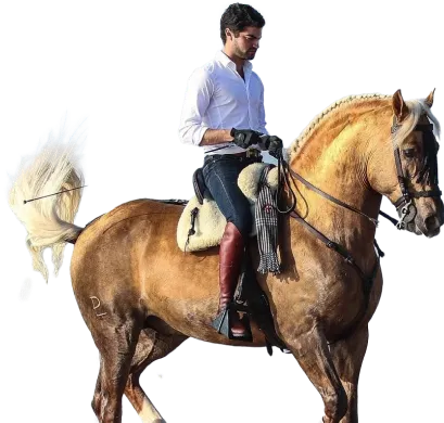 Категория Для всадника