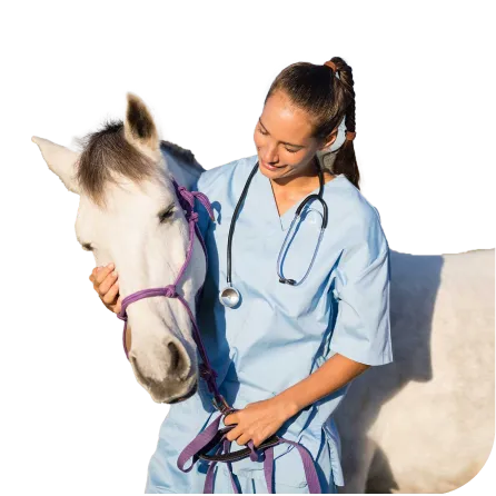 Категория Ветеринария