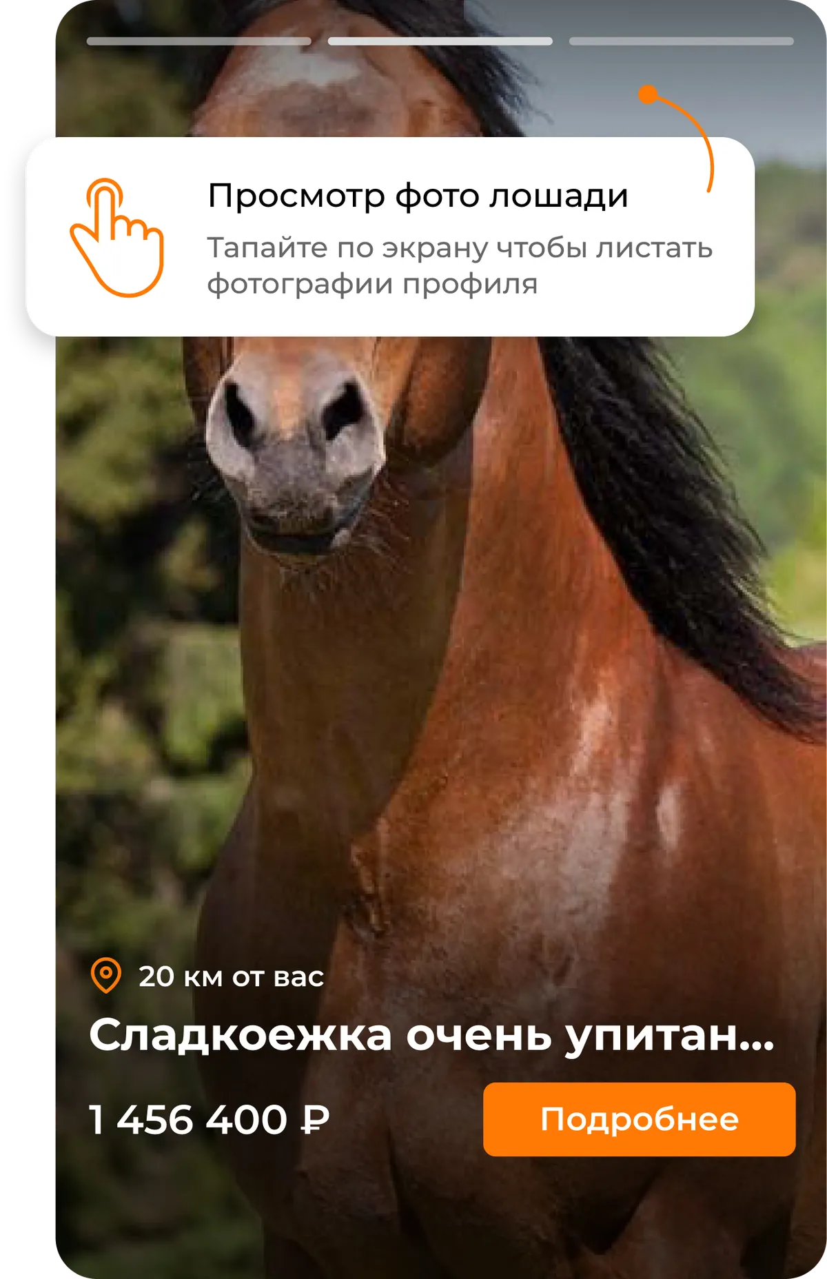 Тематик свг