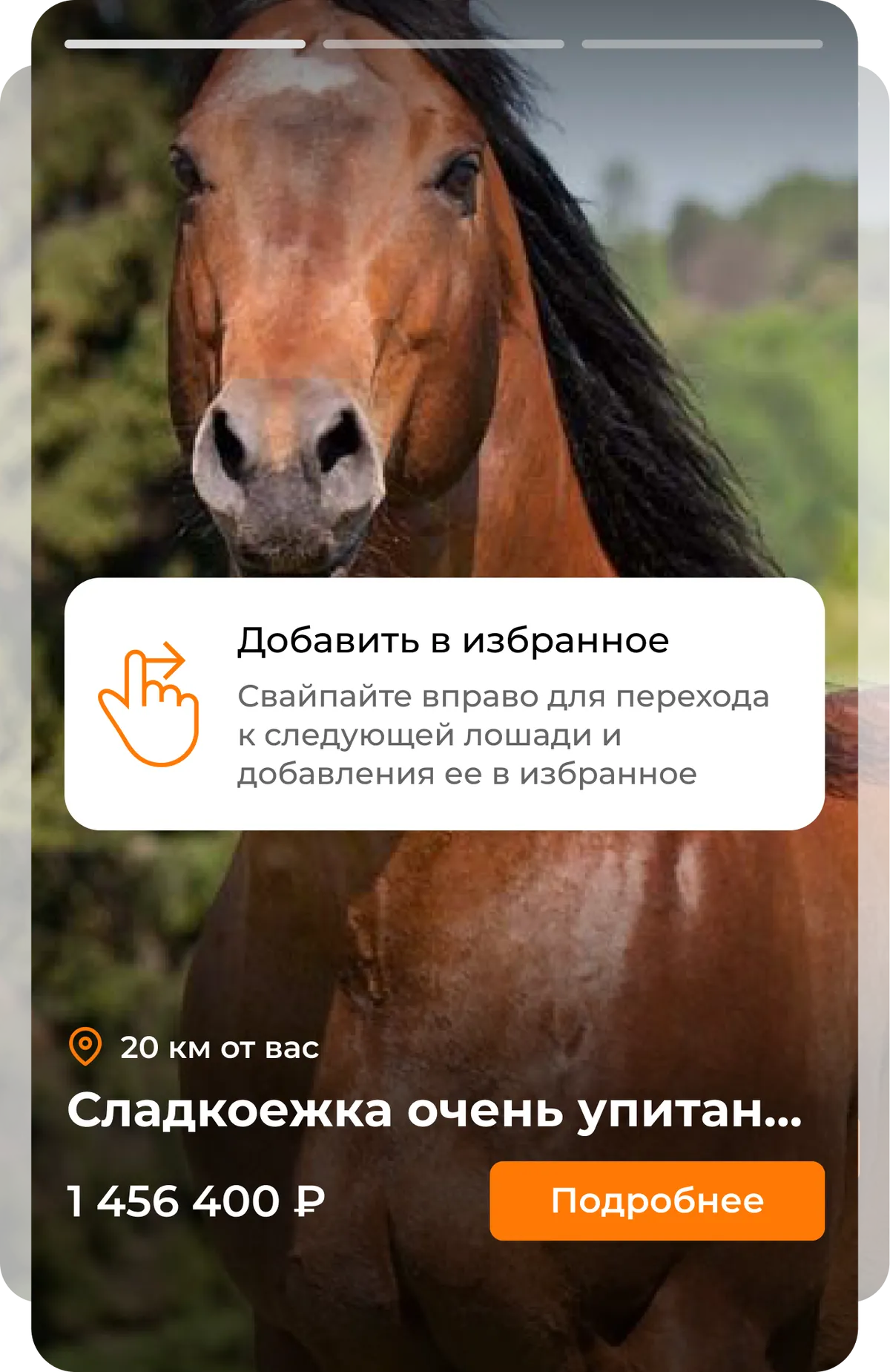 Тестовая тематик категория
