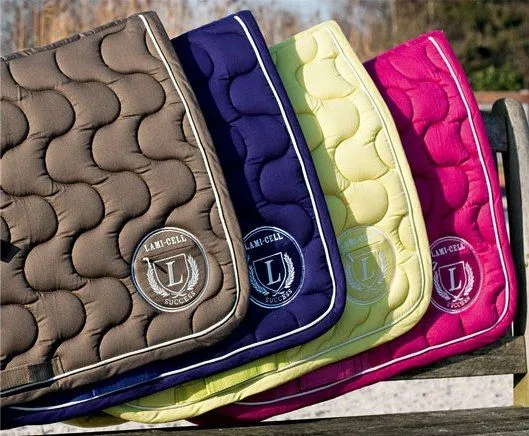 Вальтрап Success