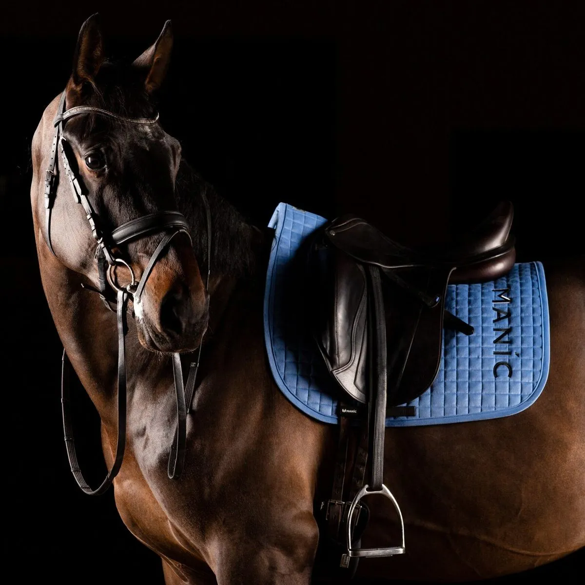 Вальтрап Manic Gentle Touch, Голубой выездковый