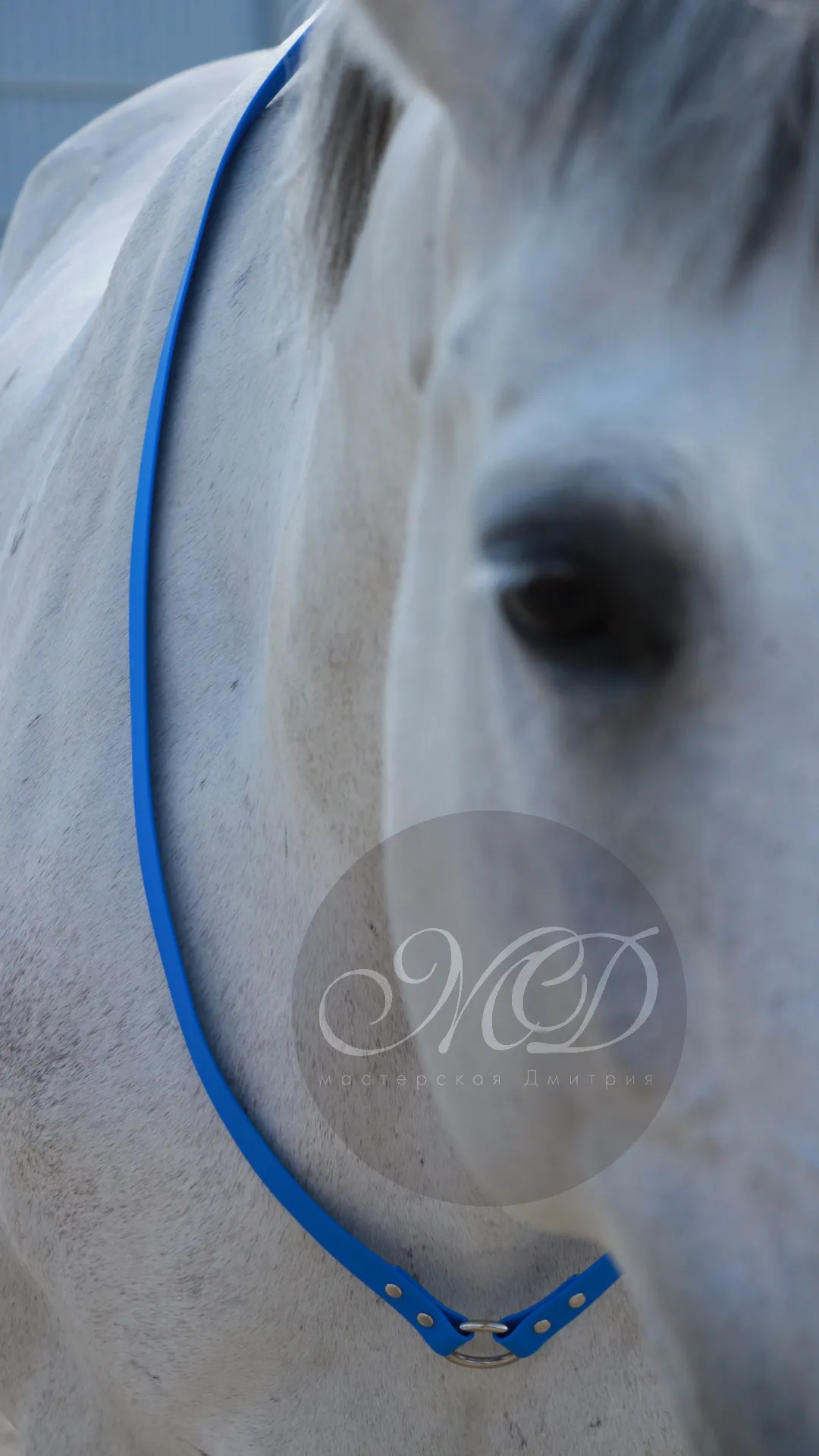 Кордео из биотана