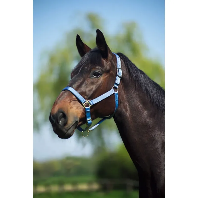 Недоуздок нейлоновый X-FULL