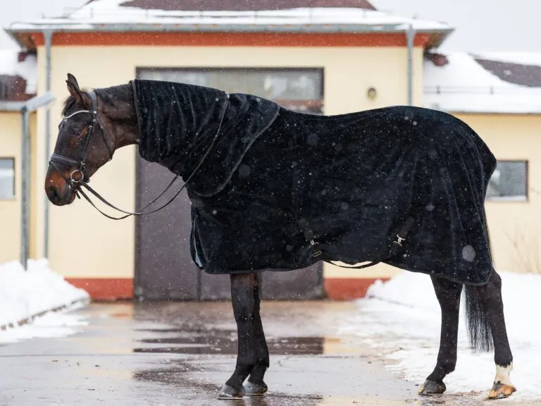 Попона меховая Teddy MANIC, Чёрная, размер 105