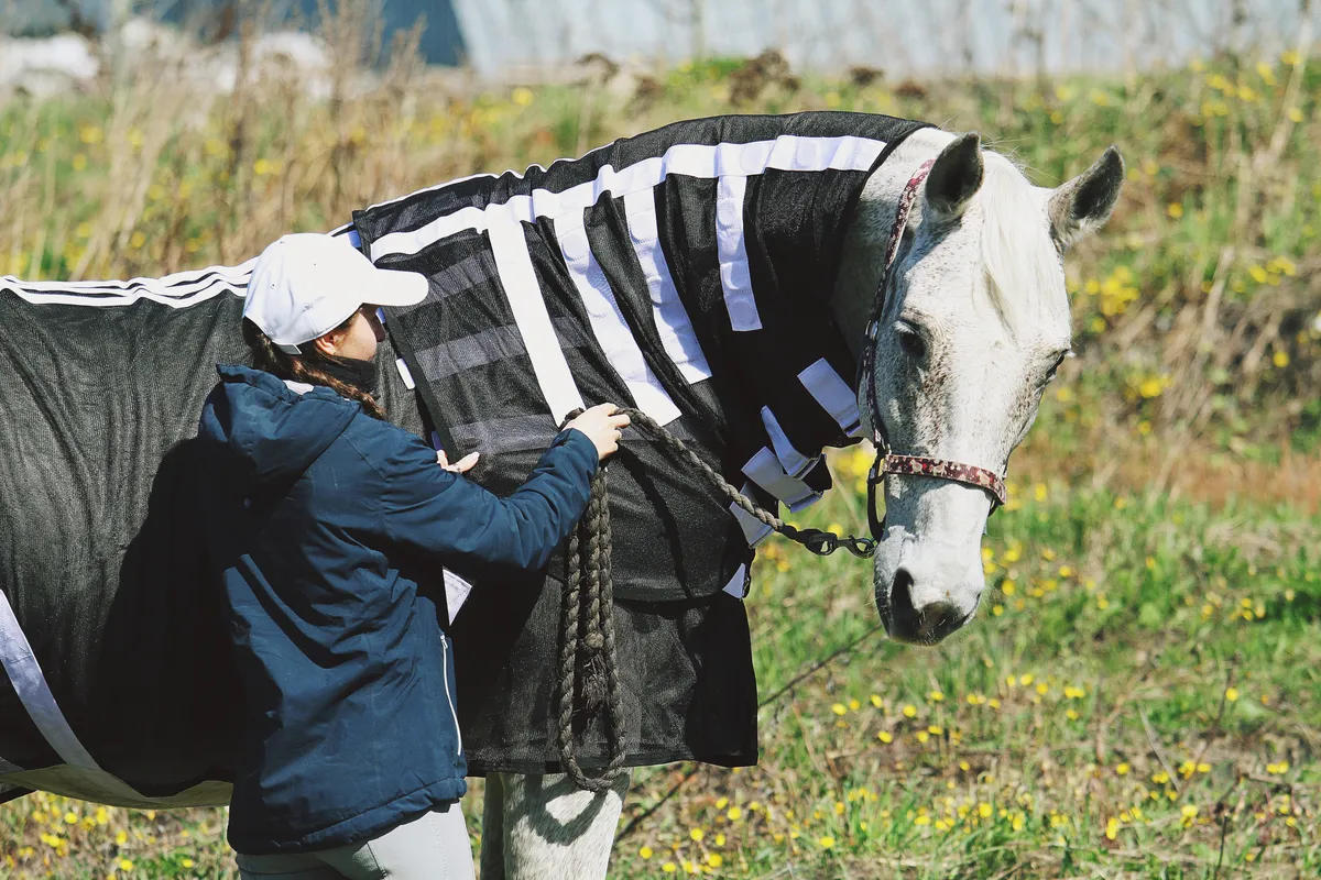 Магнитная попона для лошади, 155 размер