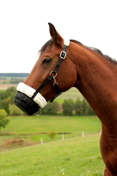 Намордник "Teddy" с флисом
