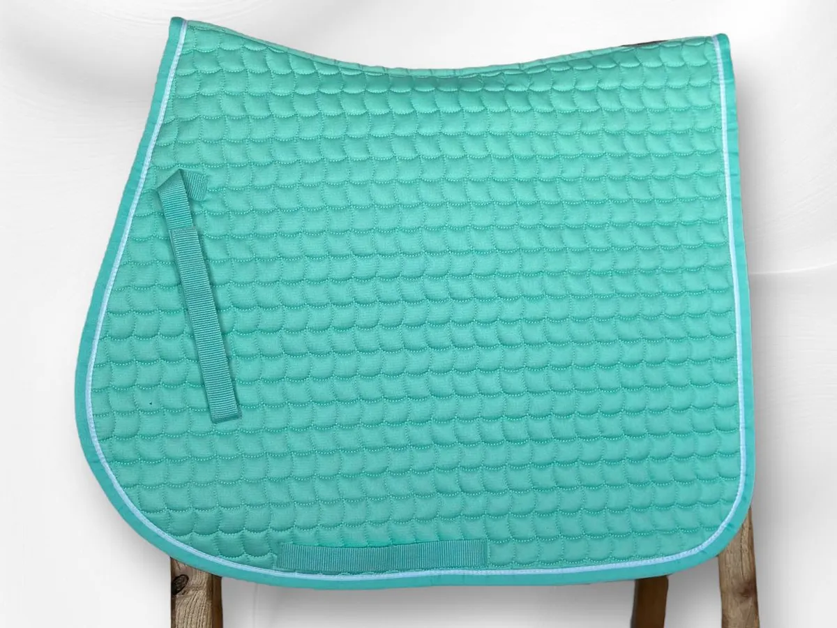 Вальтрап LOESDAU Horse-friends