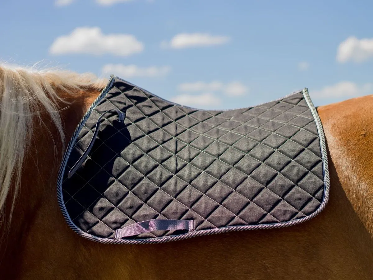 Вальтрап конкурный (чёрный)