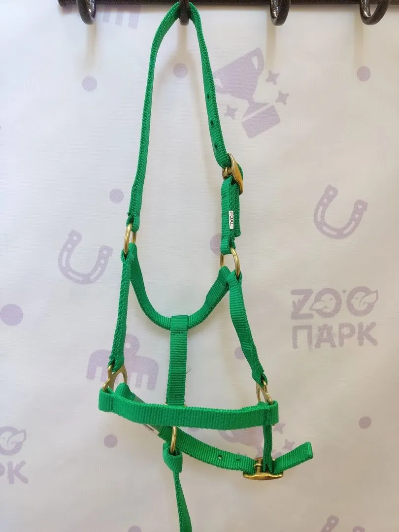 Недоуздок нейлоновый для жеребят, Зеленый