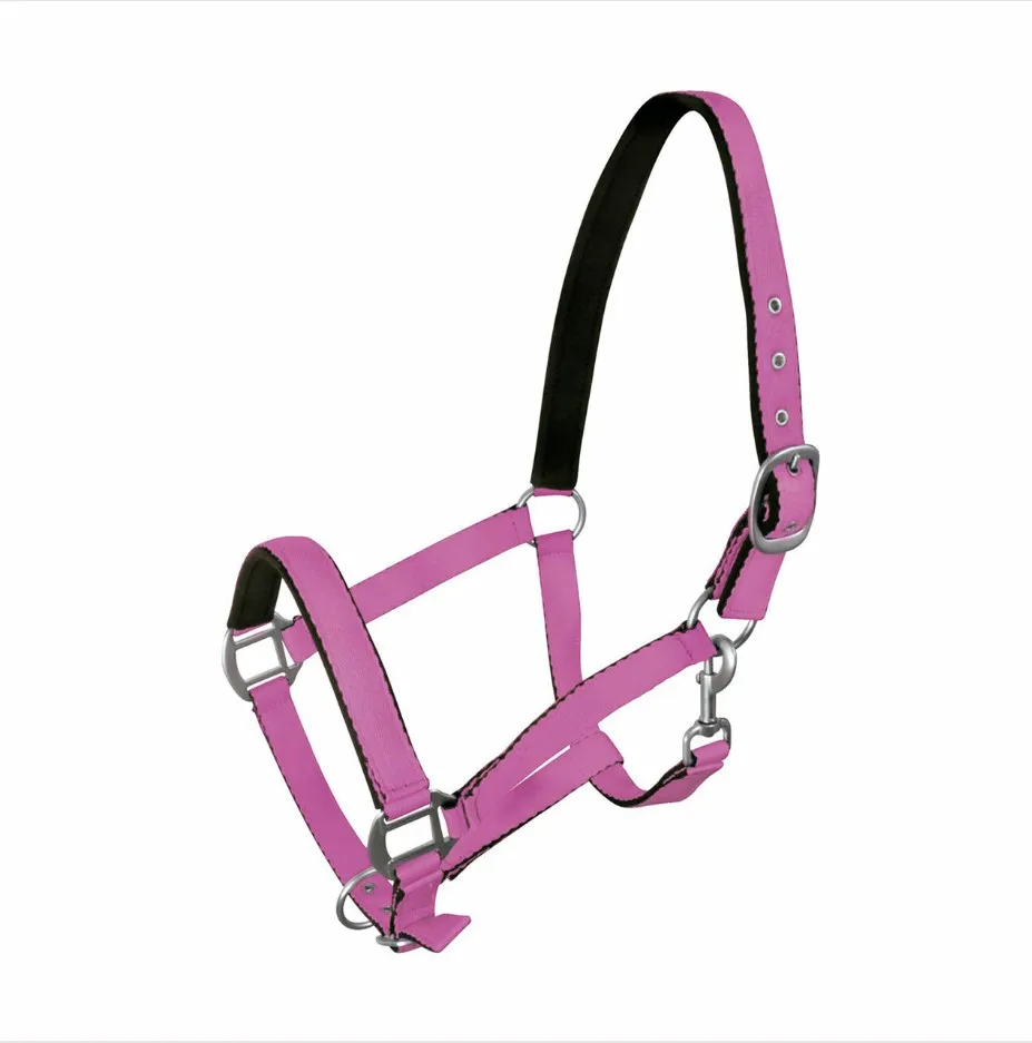 Недоуздок York Fluo фиолетовый Cob