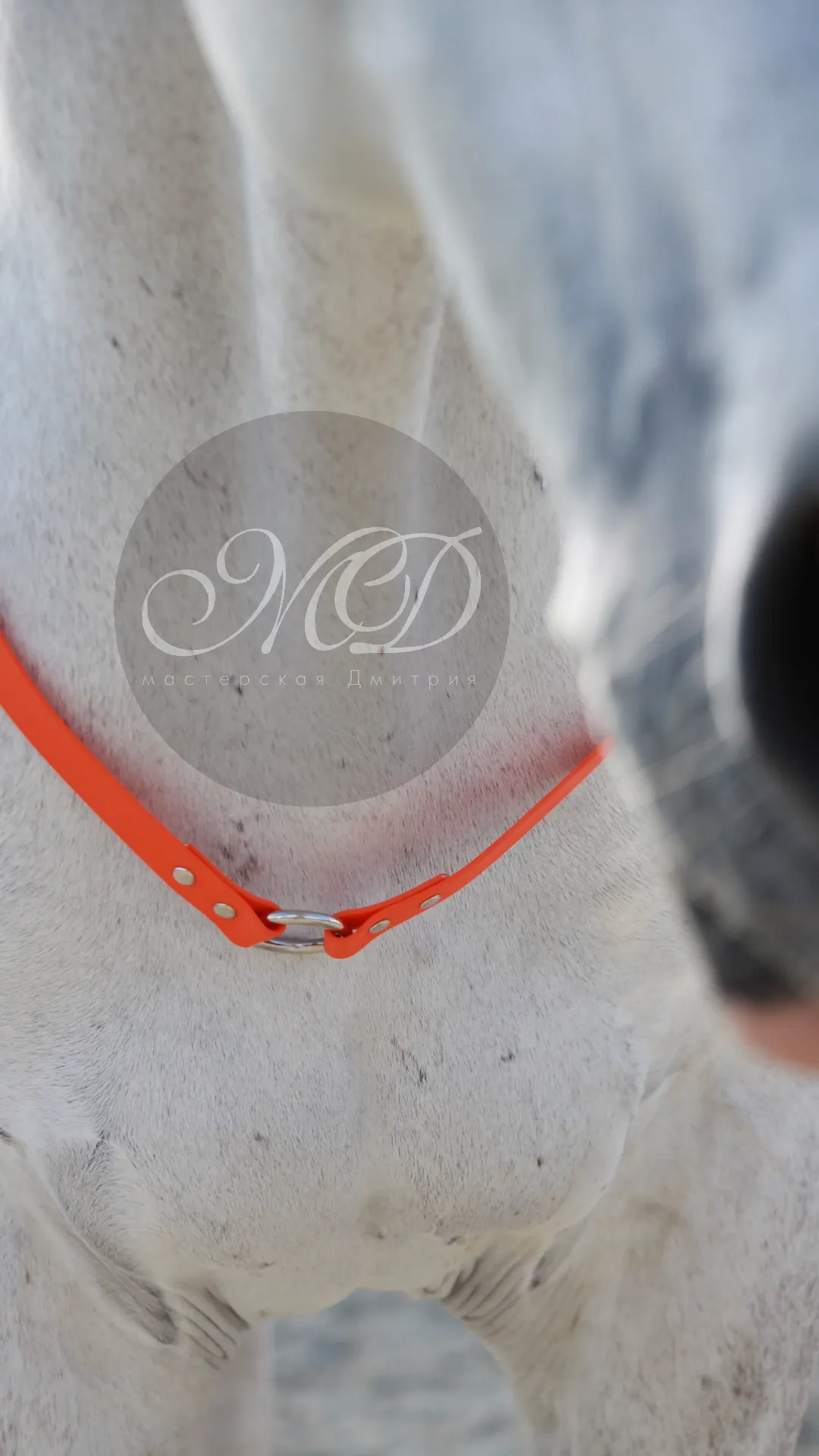 Кордео из биотана 