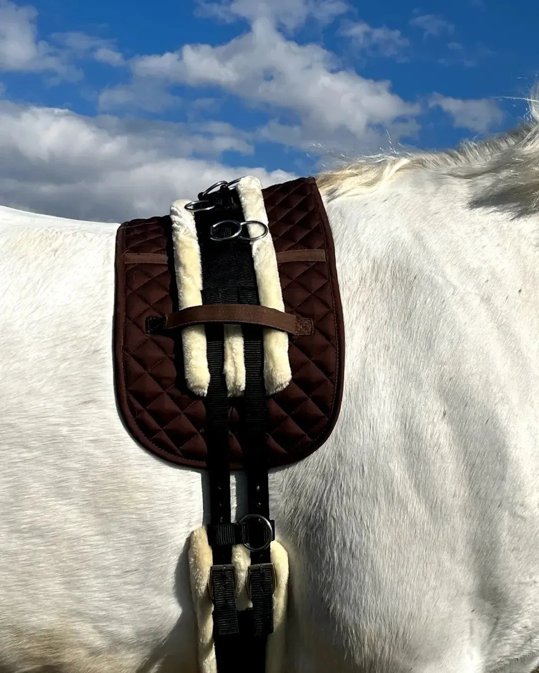 Вальтрап под гурту