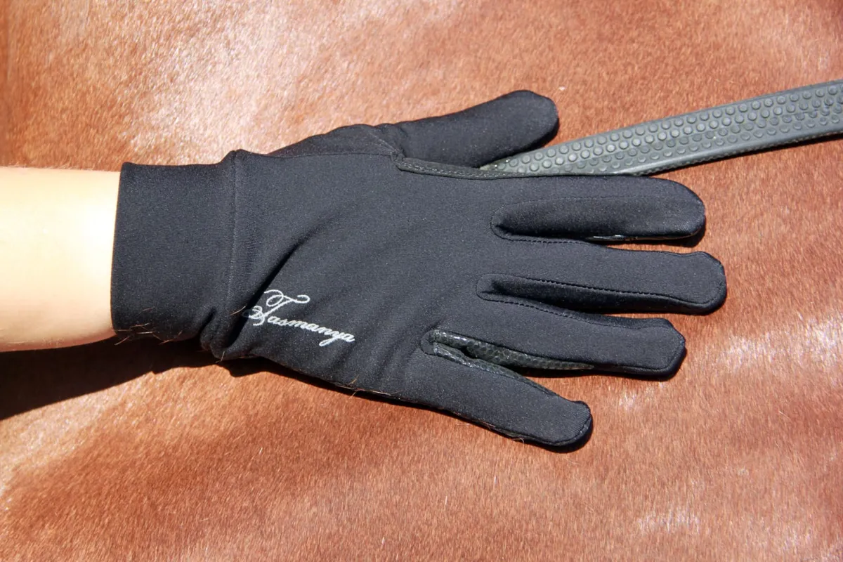 Перчатки зимние двухслойные Tasmanya XS