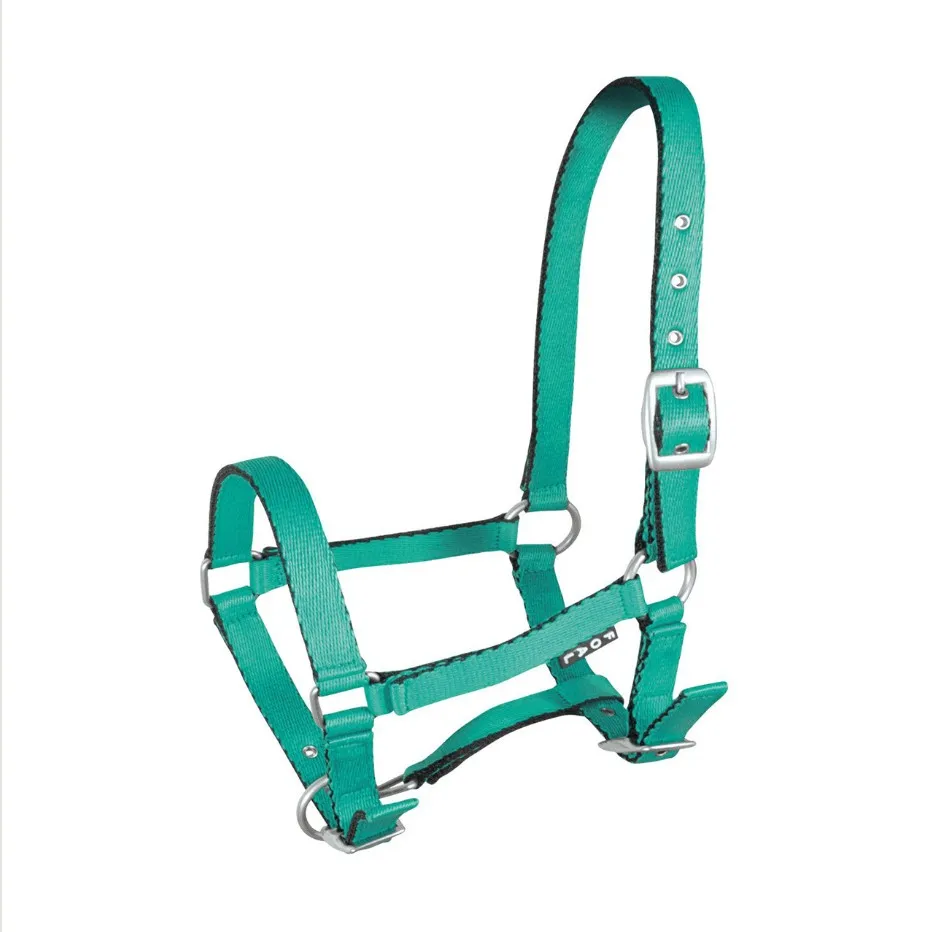 Недоуздок York Tobi для жеребят ярко-зеленый Foall