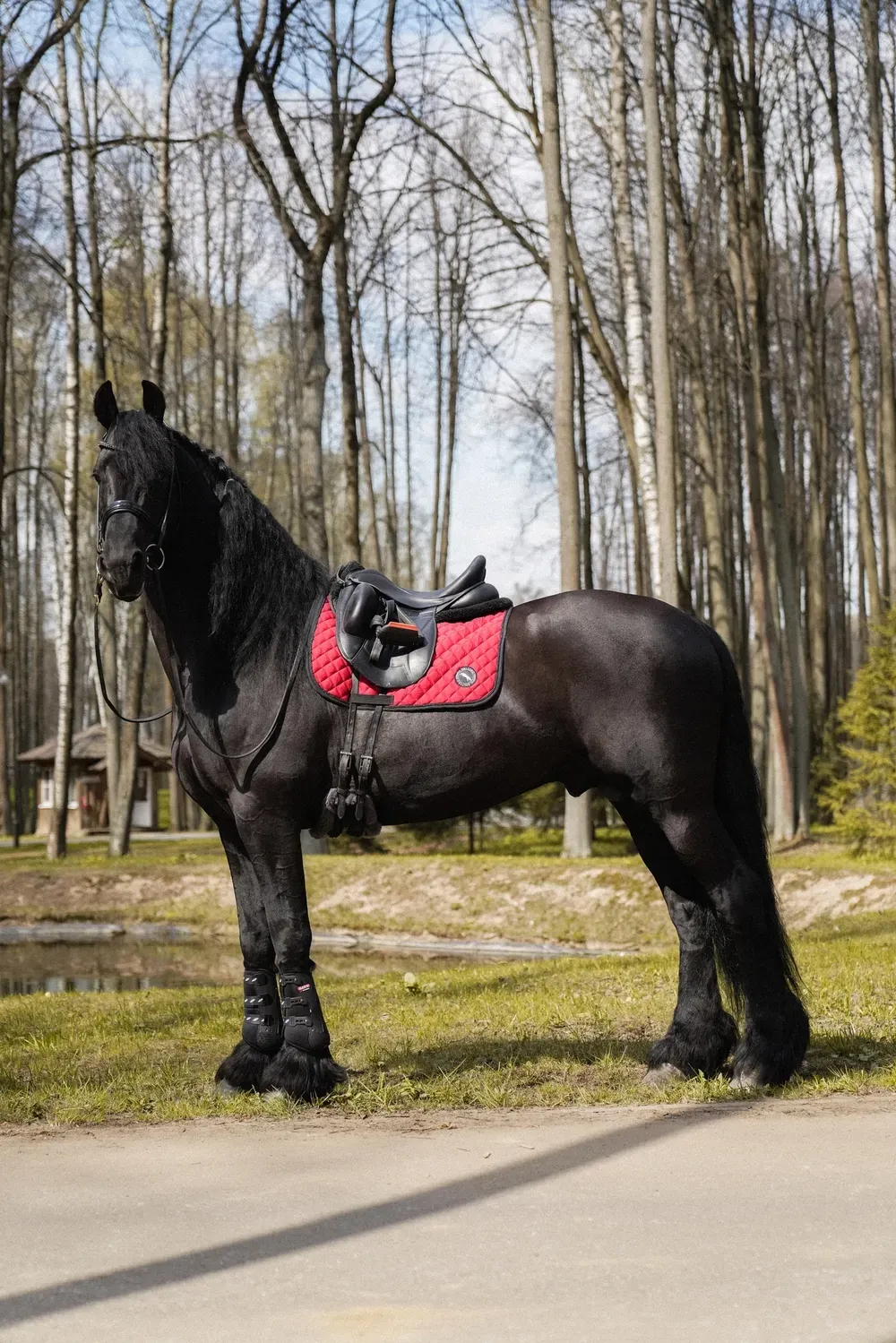 Вальтрап Bordo Romb Dressage