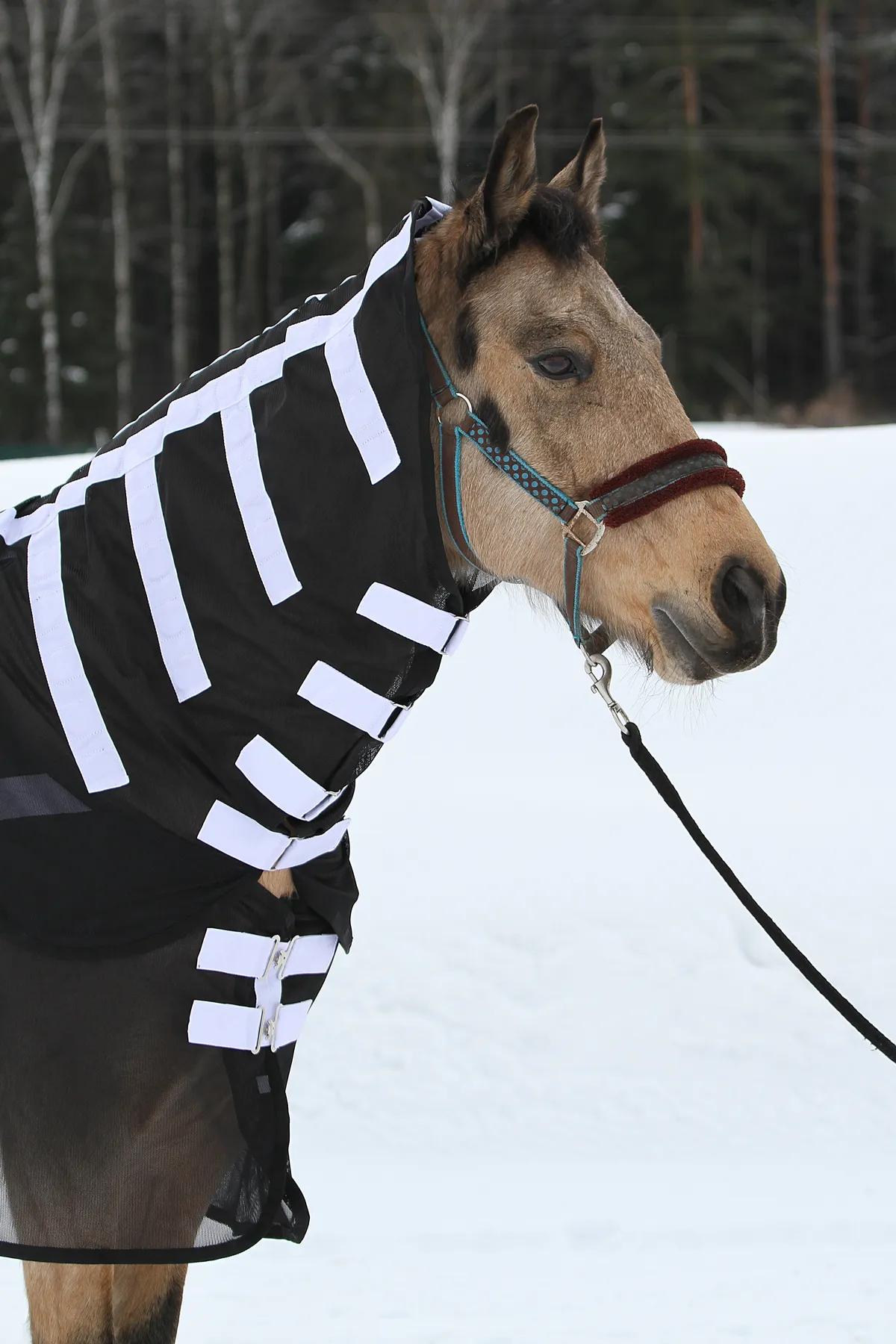 Магнитная попона для лошади, 135 размер