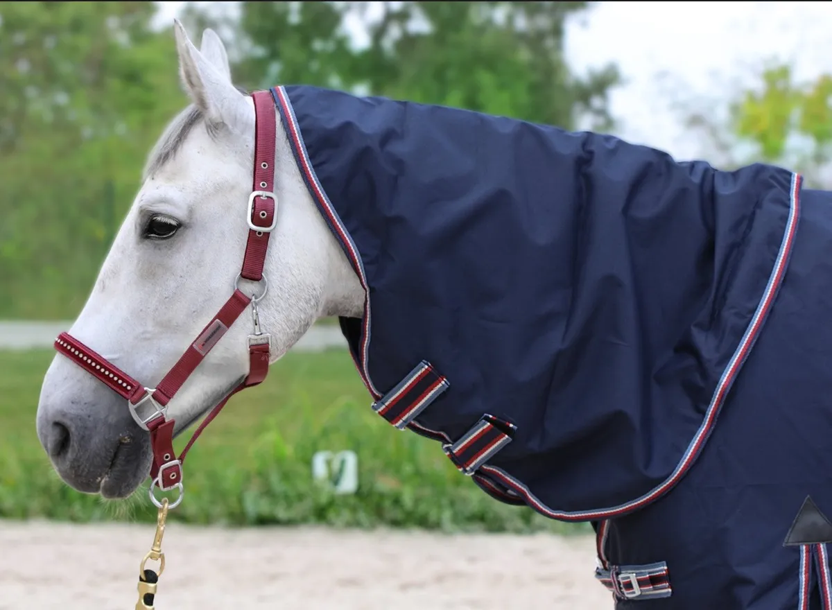 Капор HE дождевой темно-синий Pony