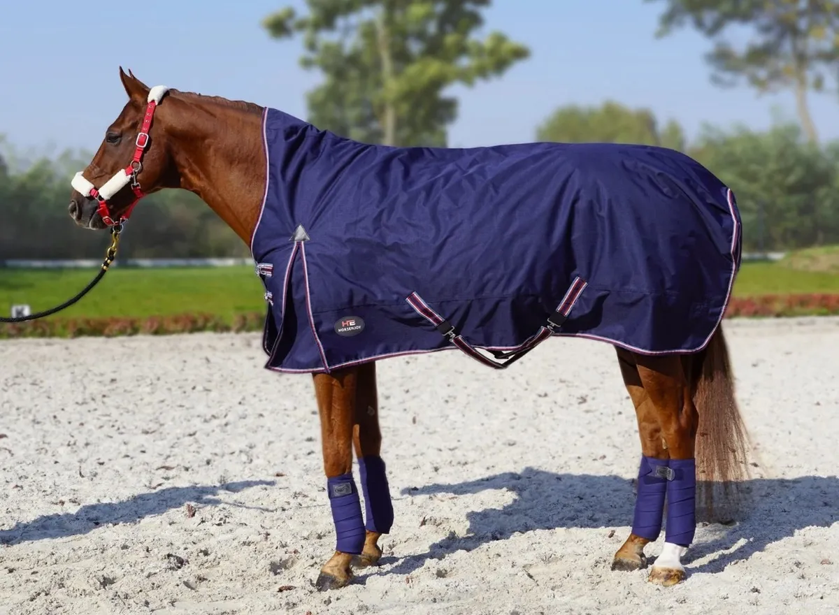 Попона HE Aristo High Neck зимняя/дождевая/250 гр с высокой холкой темно-синяя 155 см