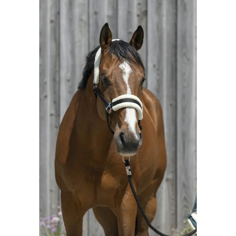 Недоуздок с искусственным мехом (COB, Васильковый)