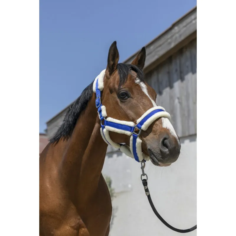 Недоуздок с мехом