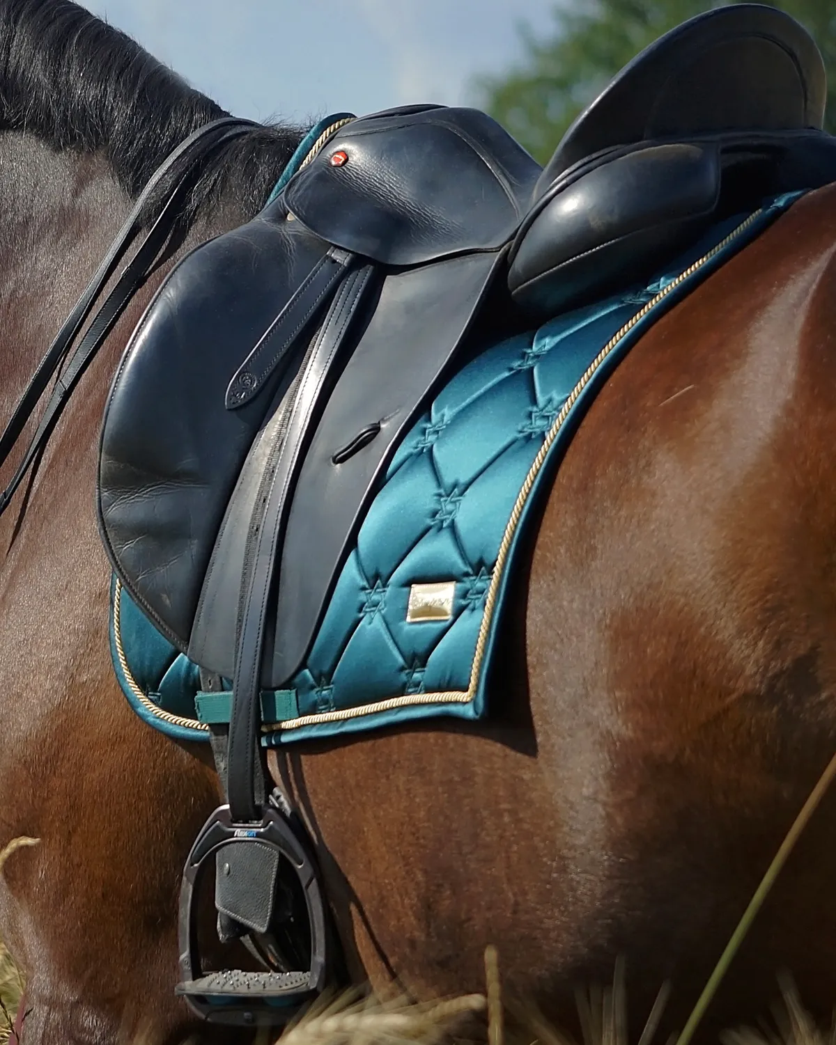 Выездковый вальтрап