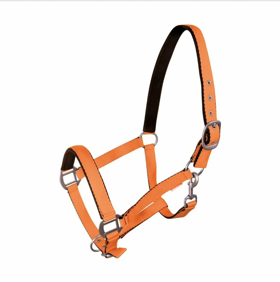 Недоуздок York Fluo оранжевый Full