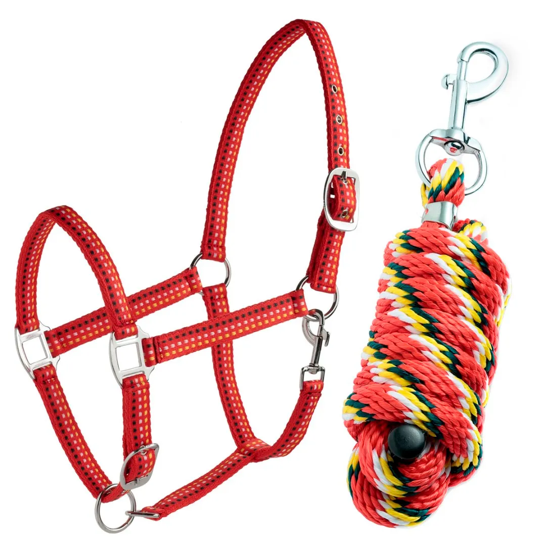 Недоуздок c чумбуром в прозрачной сумке