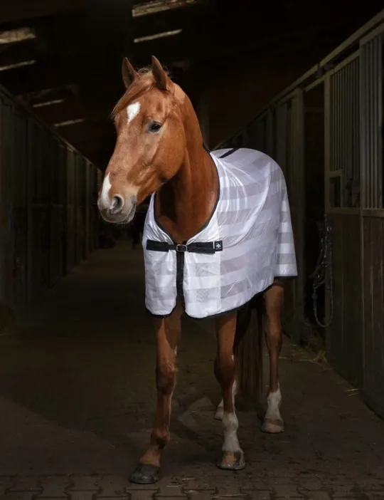 Попона сетка