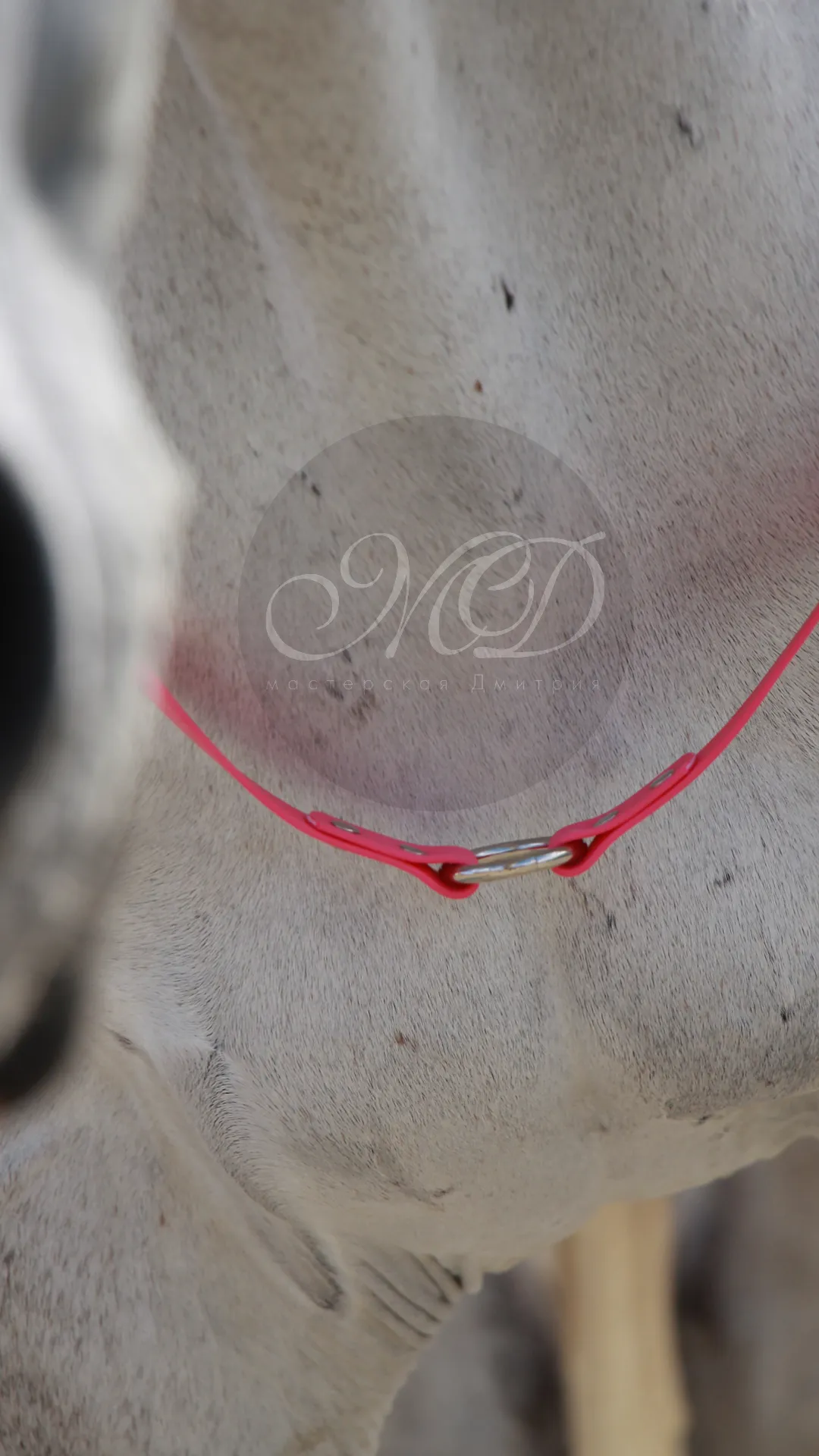 Кордео из биотана 