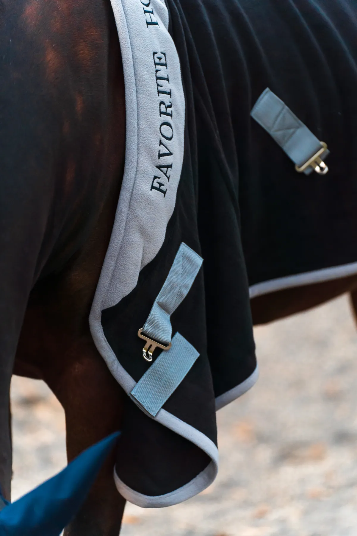 Попона флисовая FAVORITE HORSE Aristocratic (черная,155)