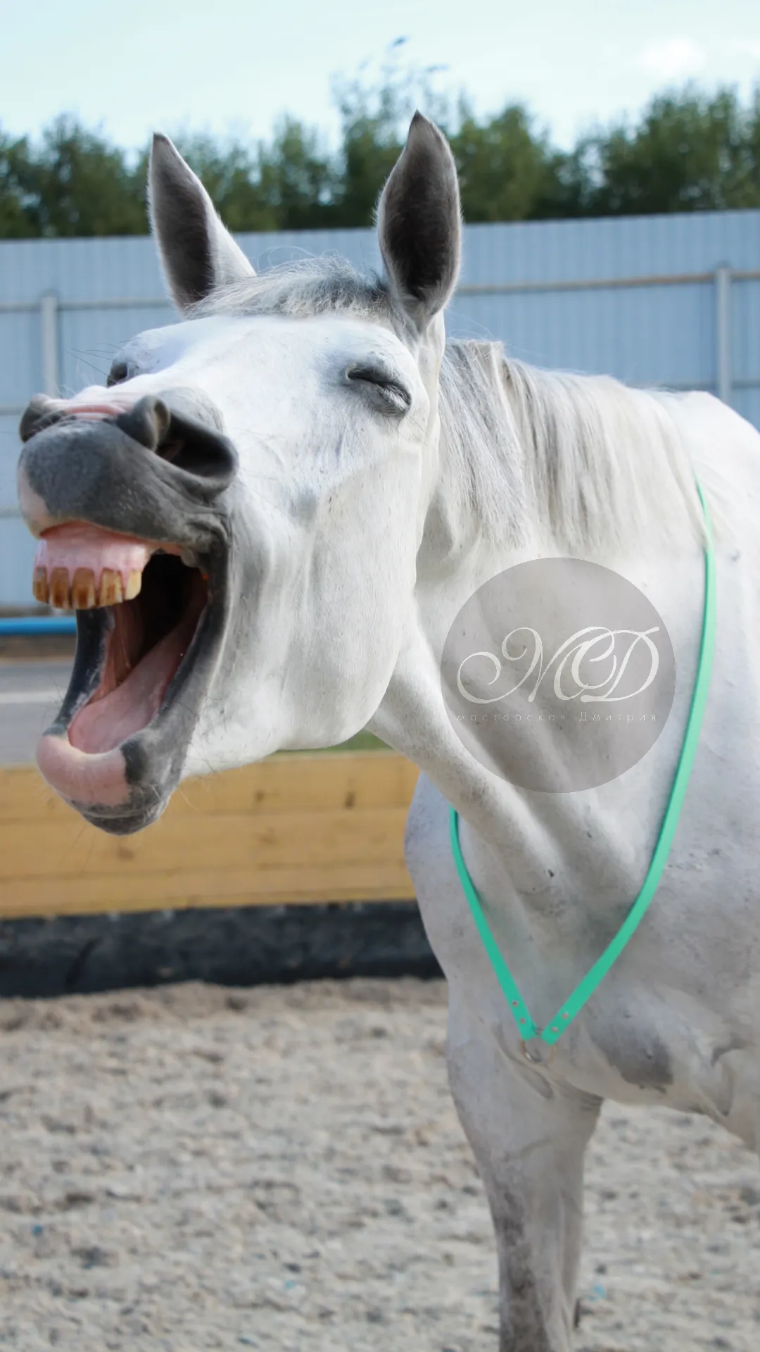 Кордео из биотана 