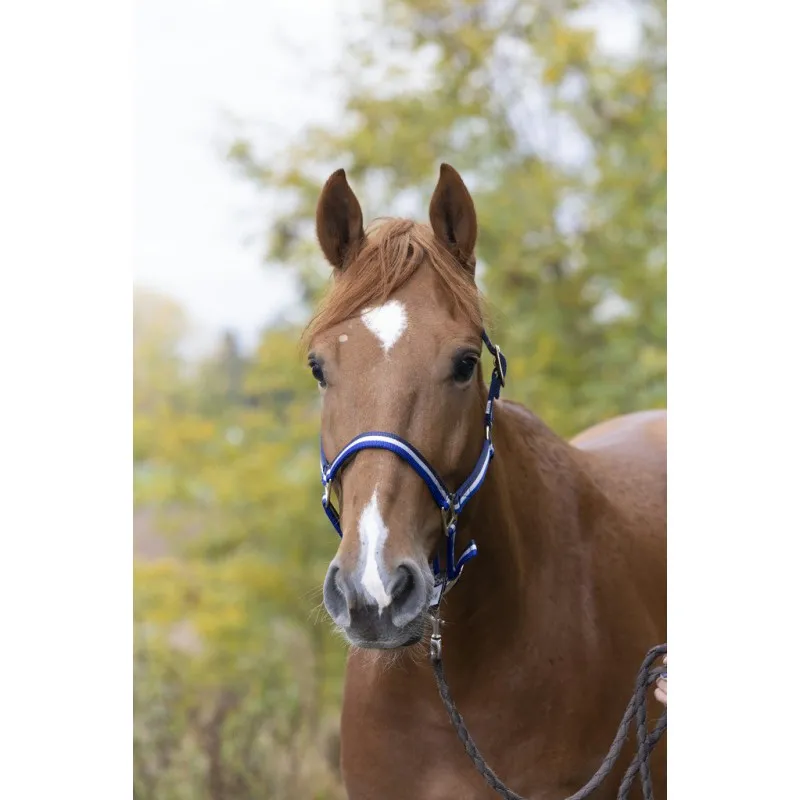 Недоуздок нейлоновый X-FULL