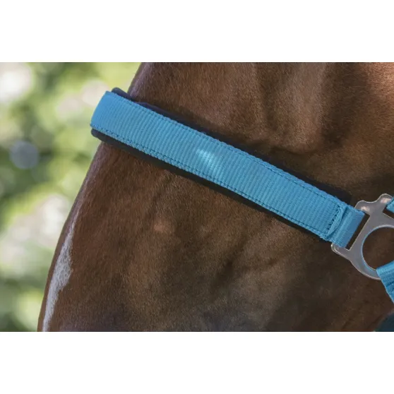 Недоуздок "Fluo"