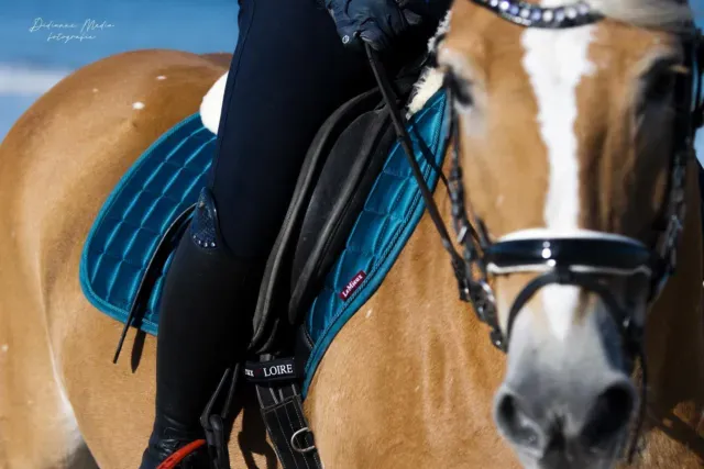 Вальтрап "Marine"