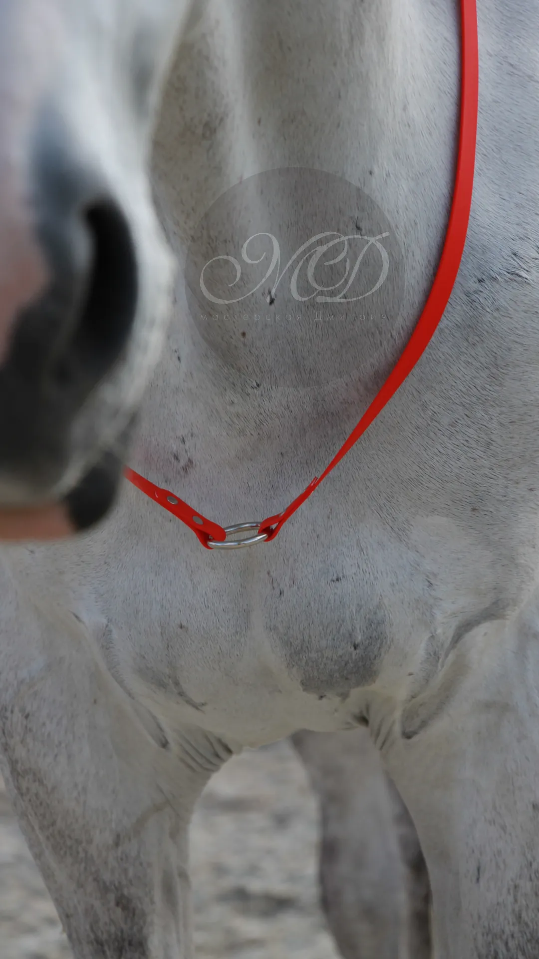 Кордео из биотана