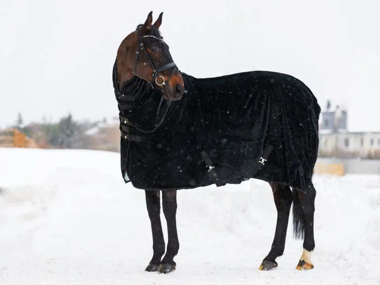 Попона меховая Teddy MANIC, Чёрная, размер 135