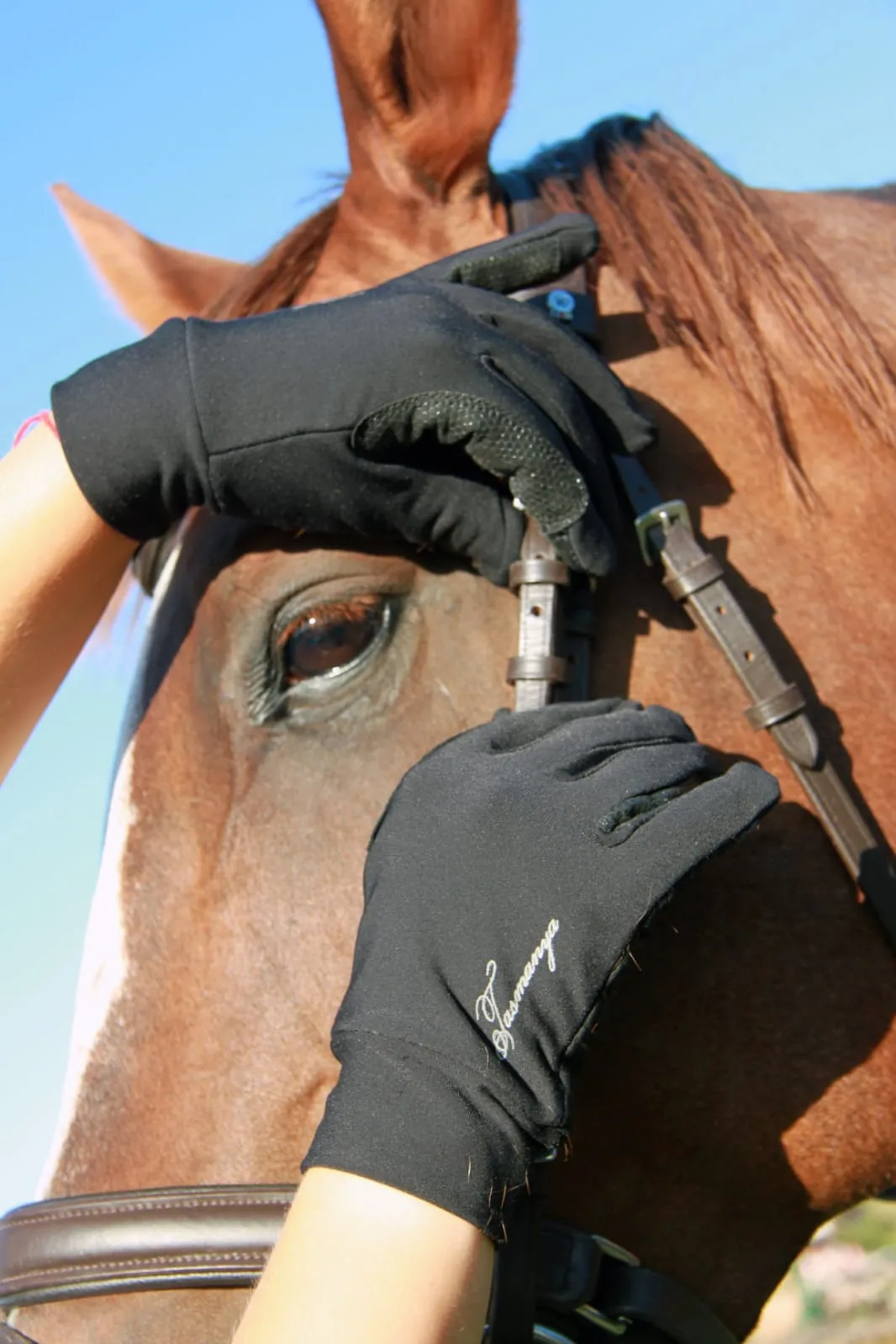 Перчатки зимние двухслойные Tasmanya S