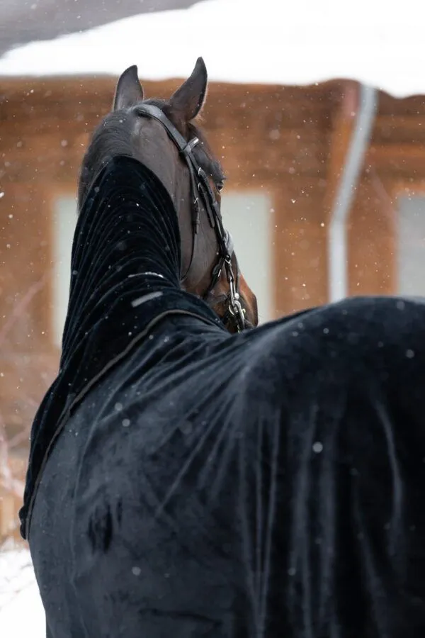 Попона меховая Teddy MANIC, Чёрная, размер 135