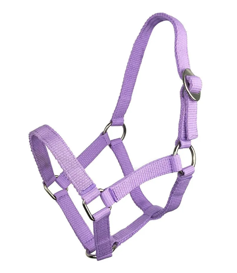 Недоуздок York Shetty фиолетовый