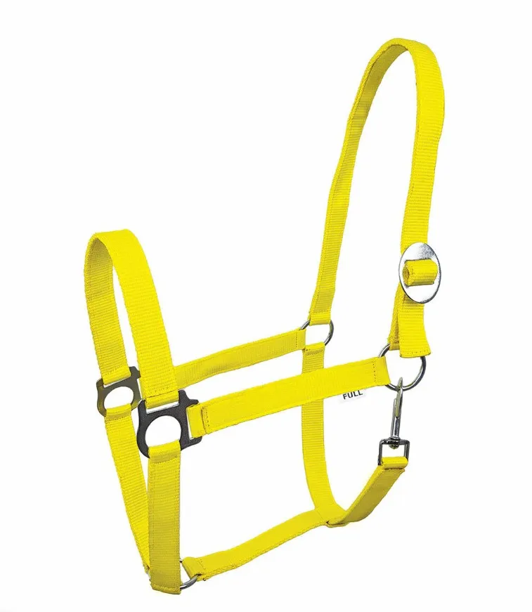 Недоуздок York Lita желтый Cob