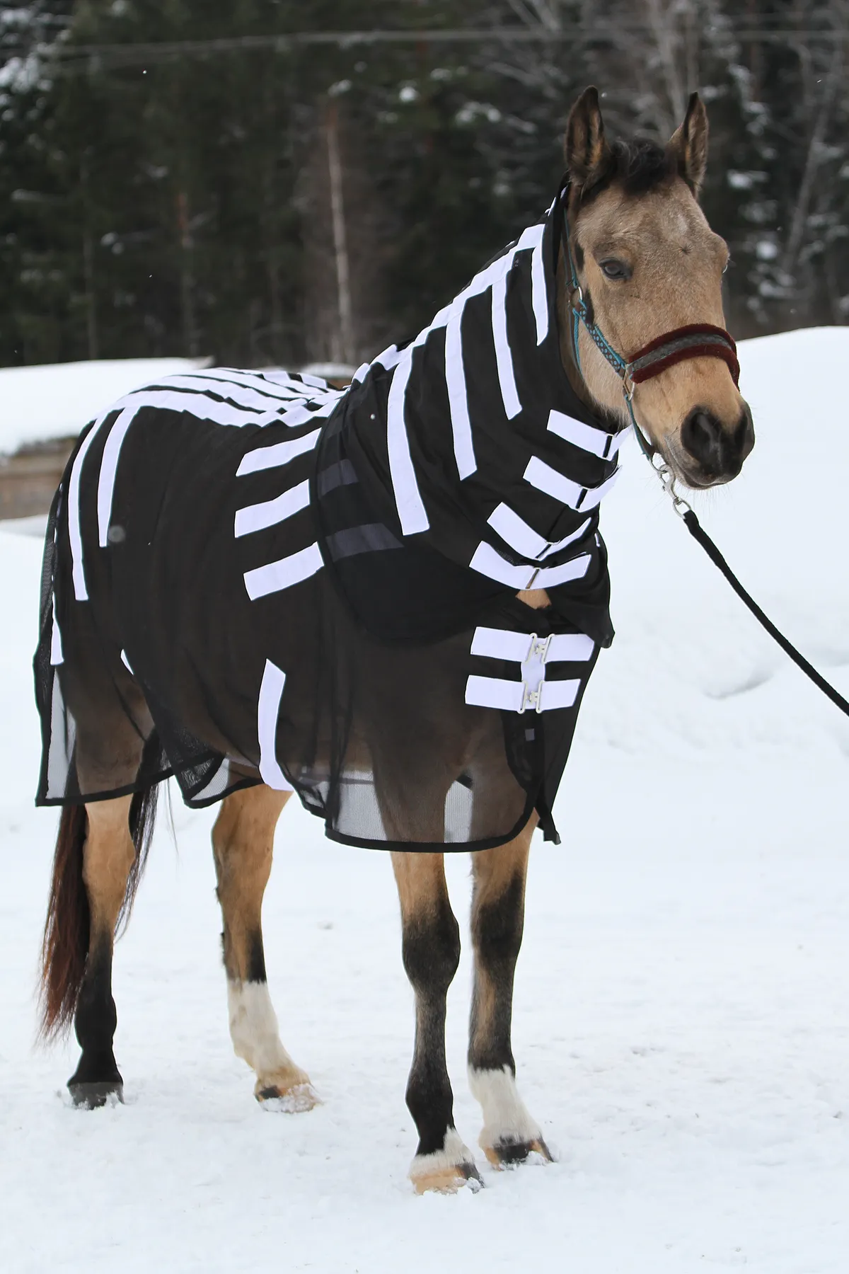 Магнитная попона для лошади, 135 размер