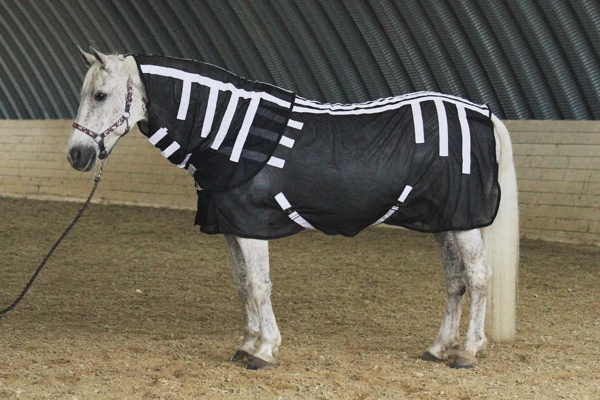 Магнитная попона для лошади, 155 размер