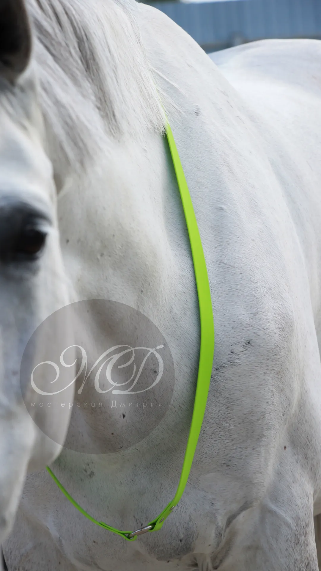 Кордео из биотана