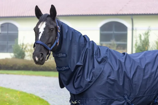 Попона "RugBe Zero"