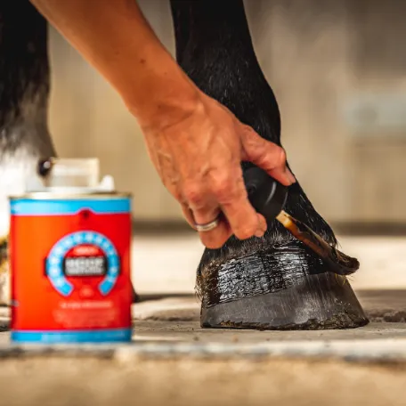 Смазка "Голубая подкова"