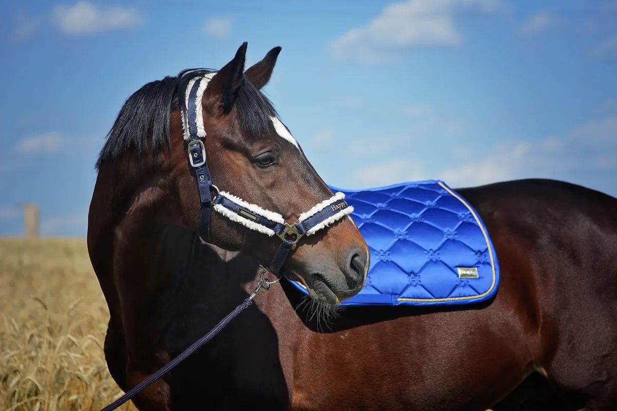 Конкурный вальтрап, цвет Сапфир💙