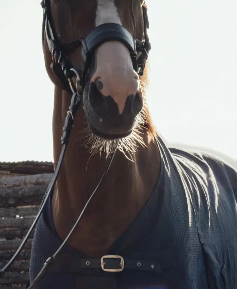 Попона "вафельная"