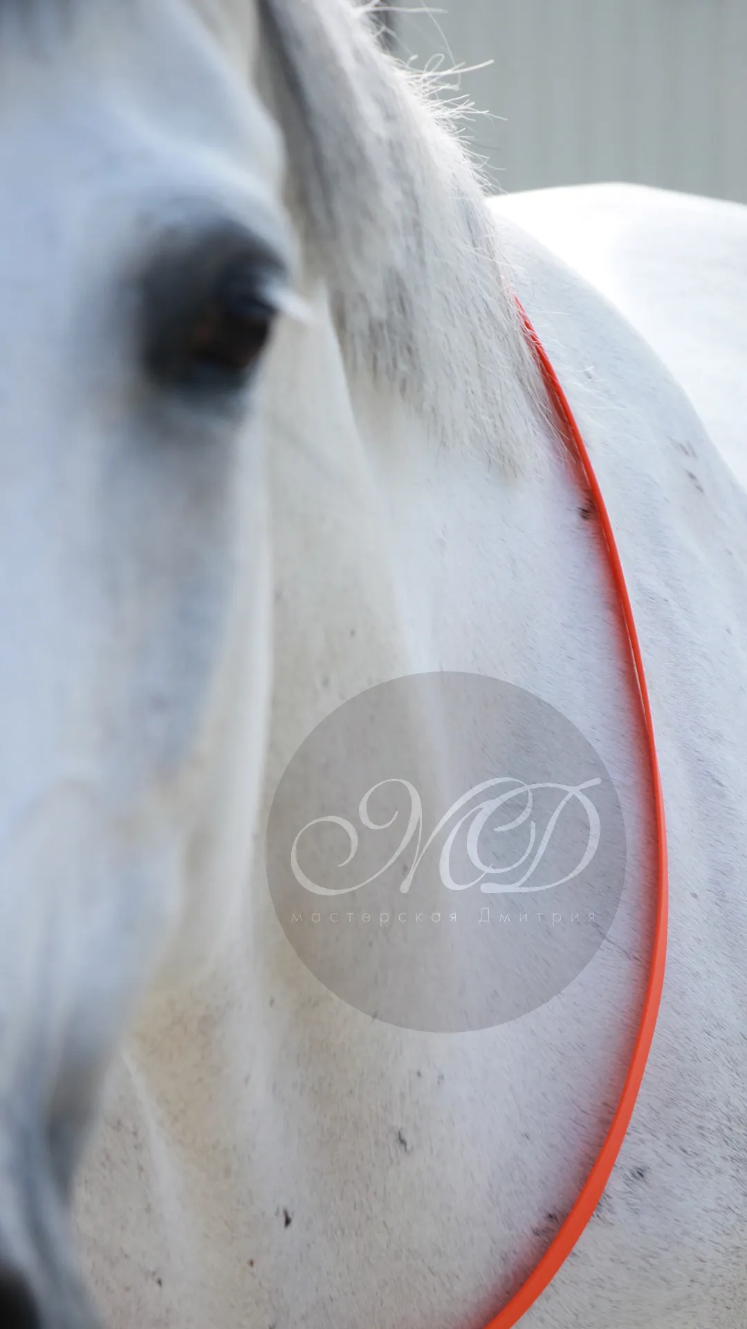 Кордео из биотана 