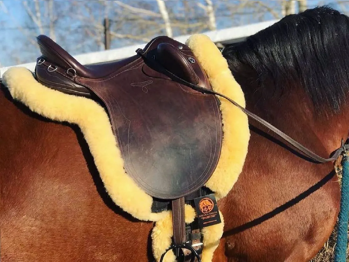Вальтрап выездковый меховой